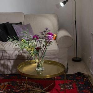 Studio Appartement